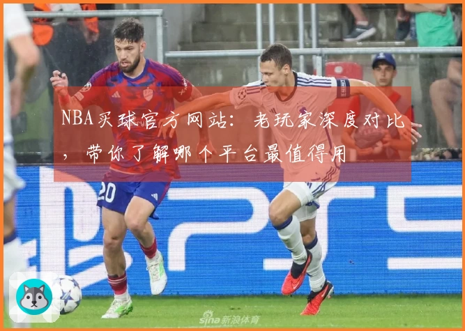 NBA买球官方网站：老玩家深度对比，带你了解哪个平台最值得用